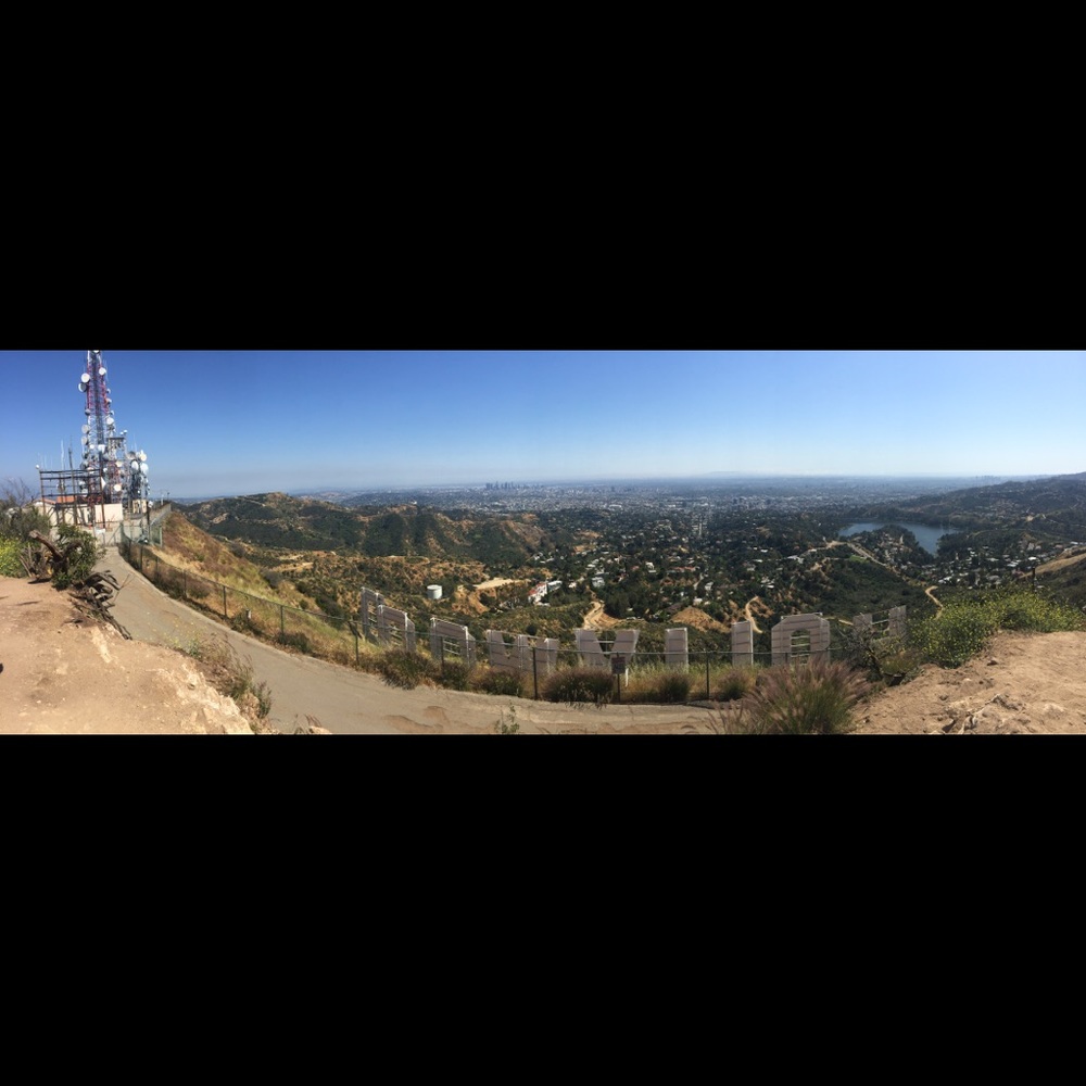 Meet your Posher, Rosa